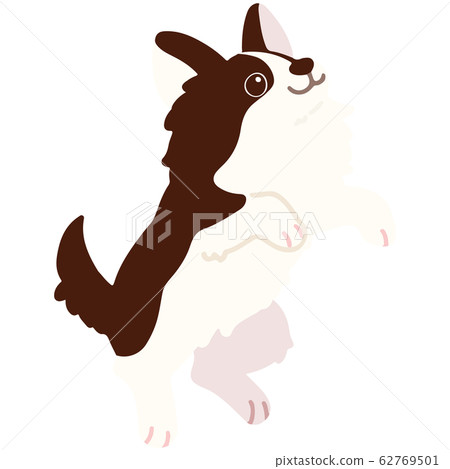 一隻跳躍的吉娃娃手繪插畫深棕色無主線 62769501