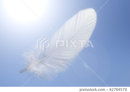 White feather flying in the blue sky White feather flying in the blue sky 62769578