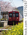 Cherry blossoms, train and rape at Ikiyama Station 62770287