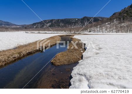 Spring Shimo-no-Horikawa 62770419