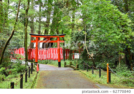 東田麻町市景Omiko 62770840