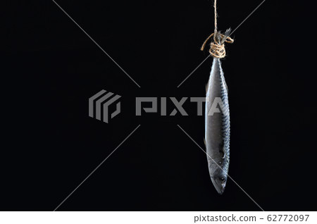 Smoked Mackerel Fish on Rope Smoked Mackerel Fish on Rope 62772097