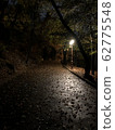 Night 62775548