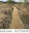 Country road 62775638