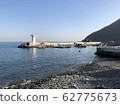 Sea 62775673