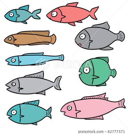 vector set of fish vector set of fish 62777371