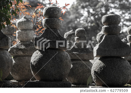 石塔寺4422 石塔寺4422 62779509