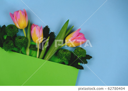 Pink tulips in an envelope, top view. Pink tulips in an envelope, top view. 62780404