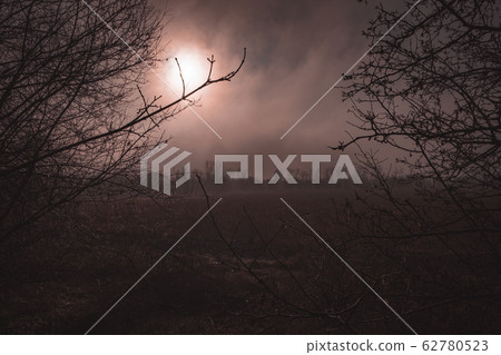 Mist landscape, trees are wet, damp fog of forest. Orange mystical sunset in foggy day. Halloween evening background Mist landscape, trees are wet, damp fog of forest. Orange mystical sunset in foggy day. Halloween evening background 62780523