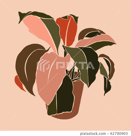 Art collage houseplant leaves in a minimal trendy style. Silhouette of a plant in a contemporary 62780903