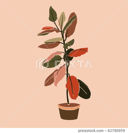 Art collage plant Tropical ficus leaves in a minimal trendy style. Silhouette of a plant. Vector 62780959