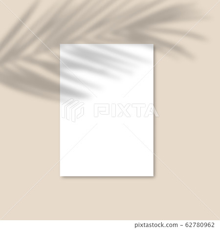 Shadow Overlay Palm Leaf Vector Mockup A4 Paper Stock Illustration 62780962 Pixta