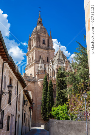 View of the Salamanca Cathedral from the beautiful Arcediano street 62781123
