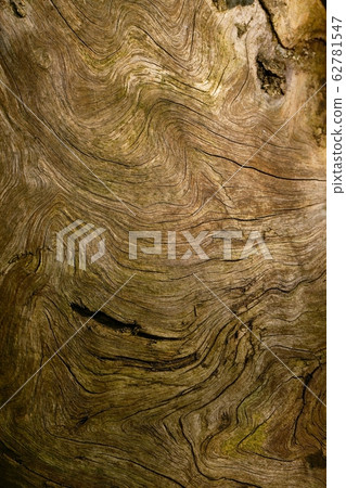 Wood Texture Wood Texture 62781547