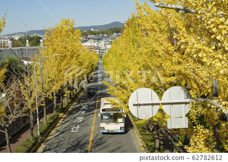 阪急巴士和銀杏南木 阪急巴士和銀杏南木 62782612