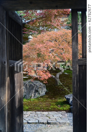 大澤池Bountei-3 62782677