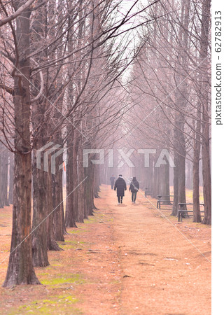 A pair of couples walking along the Metascheuer Avenue in late autumn A pair of couples walking along the Metascheuer Avenue in late autumn 62782913