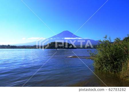 富士河口湖大石公園湖畔夏季 62783282