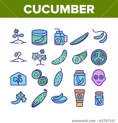 Cucumber Vegetable Collection Icons Set Vector Cucumber Vegetable Collection Icons Set Vector 62787197