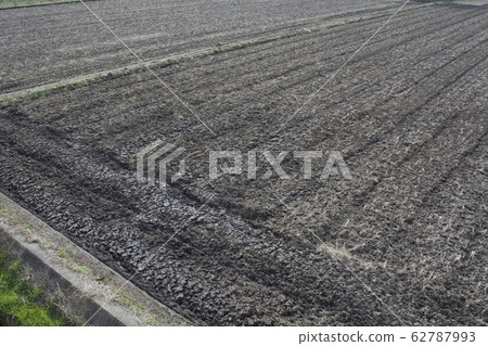 陶越（上方） 62787993