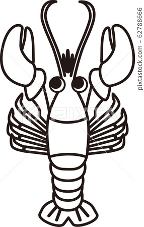 lobster 62788666