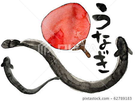 Eel illustrations Eel illustrations 62789183