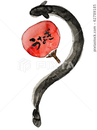 Eel illustrations Eel illustrations 62789185