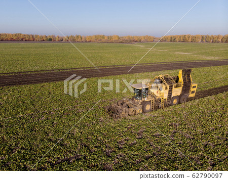 Harvesting sugar beet field machinery height during day Harvesting sugar beet field machinery height during day 62790097
