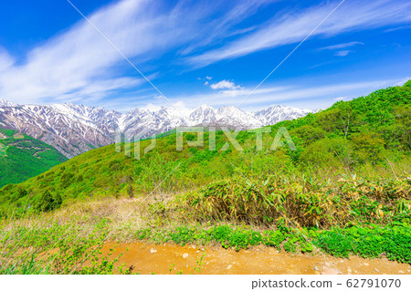 從白馬山港看到的初夏北阿爾卑斯山[長野縣] 62791070