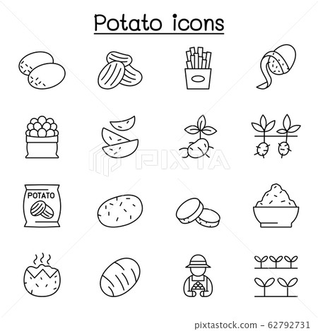 potato icon set in thin line style potato icon set in thin line style 62792731