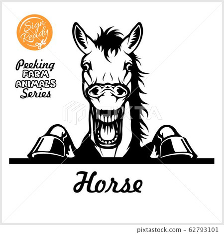 Peeking Horse - Cheerful neighing horse peeking out - face head isolated on white - vector stock 62793101