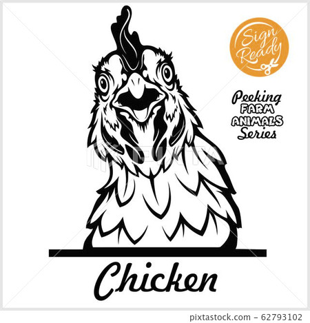 Peeking chicken - Cheerful chicken peeking out - face head isolated on white - vector stock 62793102