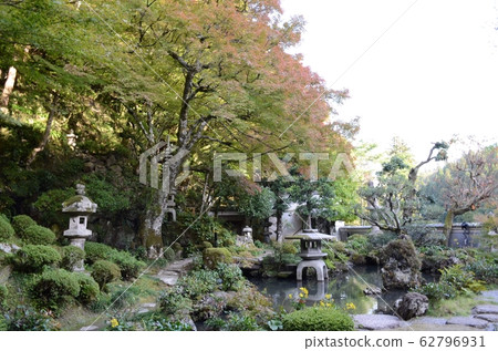 Hori Garden Hori Garden 62796931