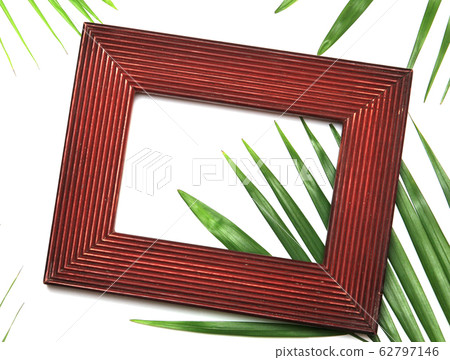 tropical nature green palm leaf in picture frame tropical nature green palm leaf in picture frame 62797146