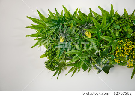 Artificial hemp leaves as decor on a white wall. Artificial hemp leaves as decor on a white wall. 62797592