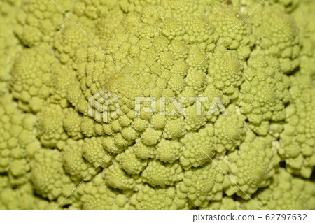 Romanesco Romanesco 62797632