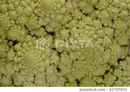 Romanesco Romanesco 62797633