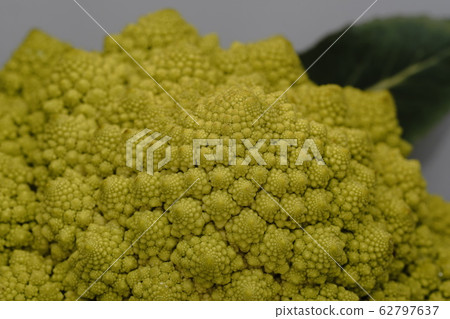 Romanesco Romanesco 62797637
