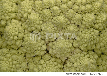 Romanesco Romanesco 62797639