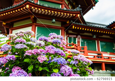 Ueno Onshi Park, Tokyo: Bentendo and Hydrangea Ueno Onshi Park, Tokyo: Bentendo and Hydrangea 62798915