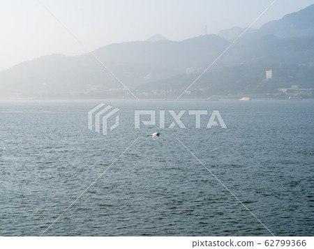 river in mist in morning 62799366
