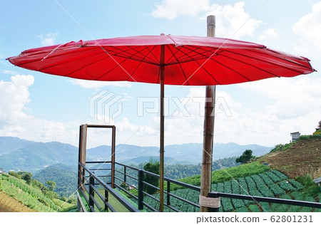 Anywhere Door 62801231