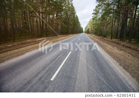 Asphalt road in forest landscape Asphalt road in forest landscape 62801431