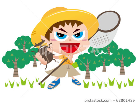 Capture of insects 62801459