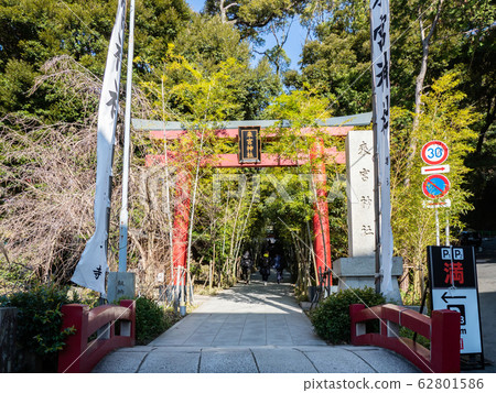 小宮神社 小宮神社 62801586