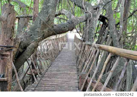 The bamboo hanging bridge in Buon Don, Cau Treo Village, Dak Lak, Vietnam  62803242