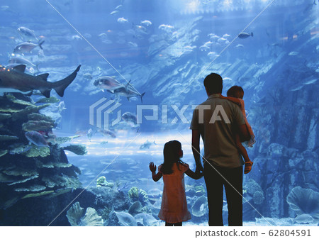 Father with daughters watching fish in oceanarium 62804591