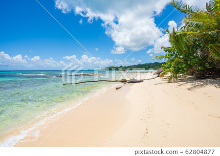 Amazing Caribbean beach in Samana peninsula 62804877