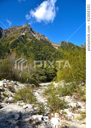 Scenery of Kamikochi nature trail Scenery of Kamikochi nature trail 62808101