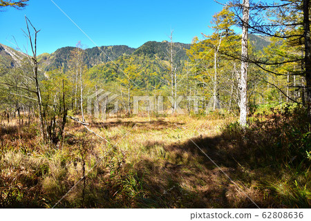 上高地自然步道的風景 62808636